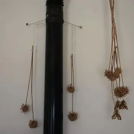 Artemis Livadi